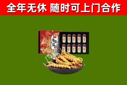 邯郸市回收冬虫夏草价格