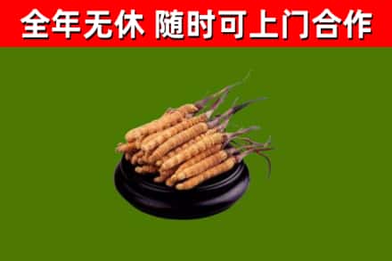 邯郸市烟酒回收冬虫夏草.jpg